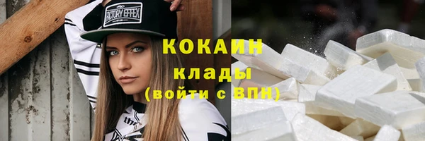 молекула духа Снежногорск