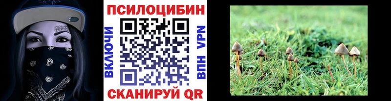 Галлюциногенные грибы Cubensis  Кимовск 